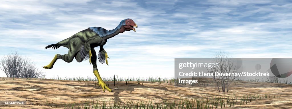 Caudipteryx dinosaur running in the desert by day