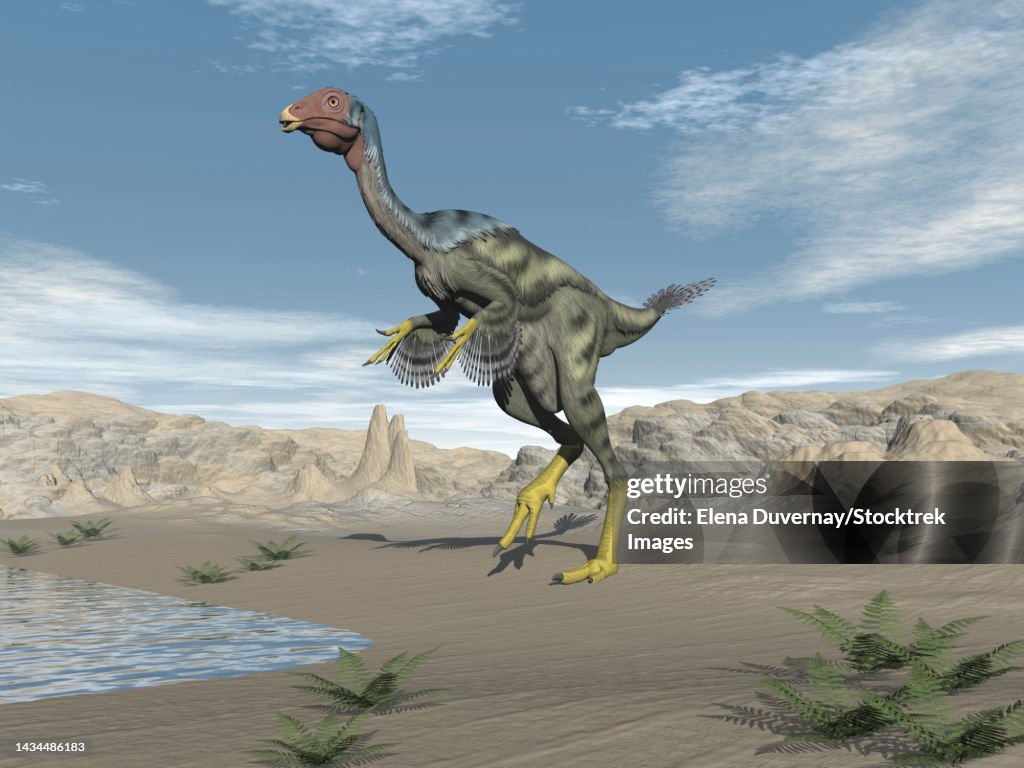 Caudipteryx dinosaur drinking water in the desert