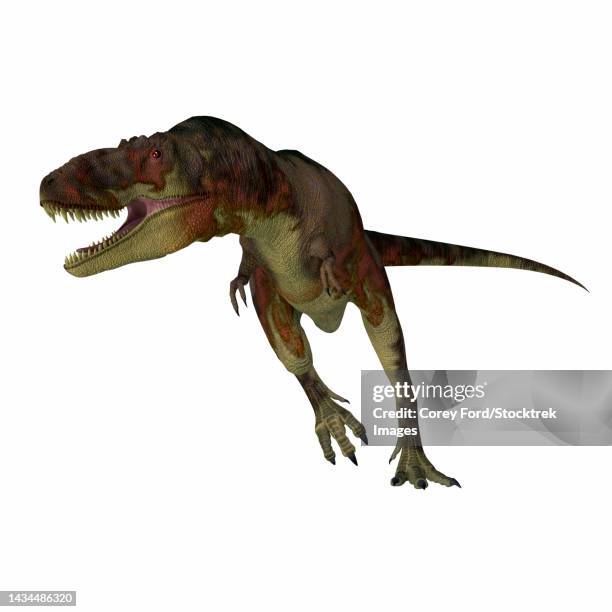 A Vicious Daspletosaurus Dinosaur Running, Bildbanksbilder