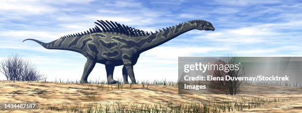 agustinia dinosaur walking in the desert by day - quadrupedalism stock illustrations