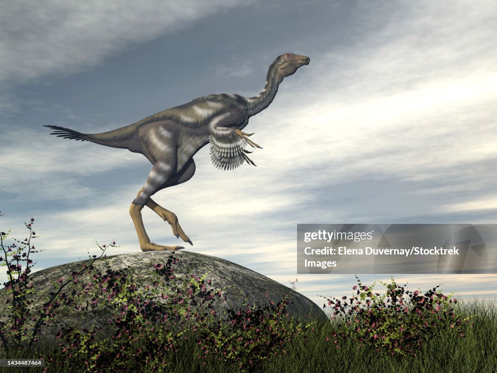Caudipteryx dinosaur standing on top of a rock