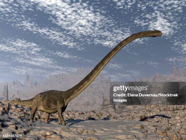 omeisaurus dinosaur walking on rough terrain - omeisaurus stock illustrations