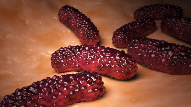 conceptual biomedical illustration of the bacteria bordetella pertussis on surface - whooping-cough stock illustrations