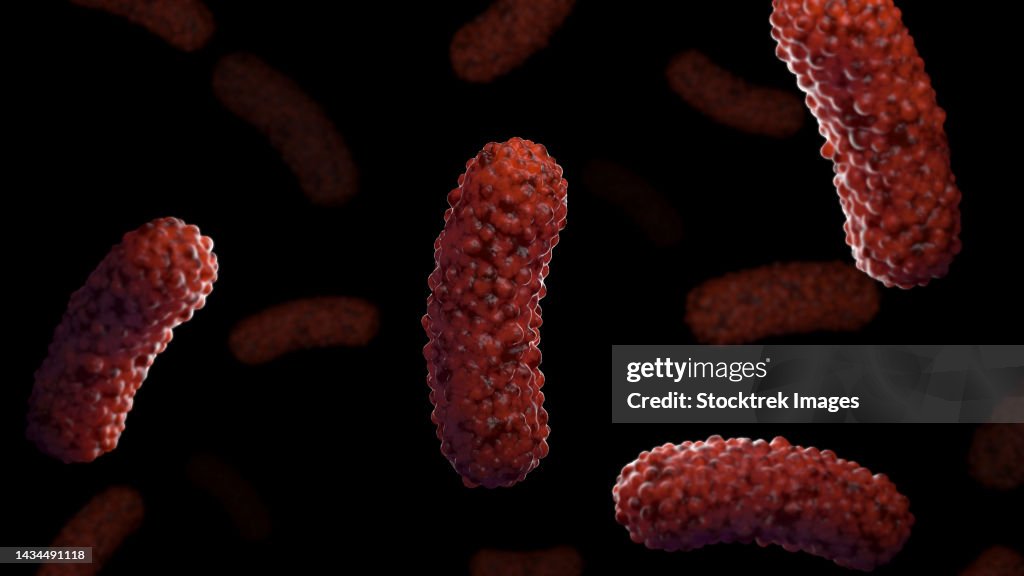 Conceptual biomedical illustration of the bacteria Bordetella pertussis, on black background