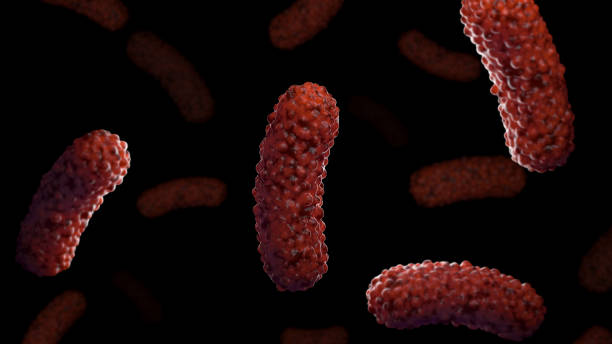 conceptual biomedical illustration of the bacteria bordetella pertussis, on black background - whooping-cough stock illustrations