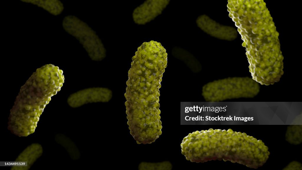 Conceptual biomedical illustration of the bacteria Bordetella pertussis, on black background