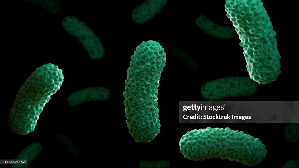 Conceptual biomedical illustration of the bacteria Bordetella pertussis, on black background