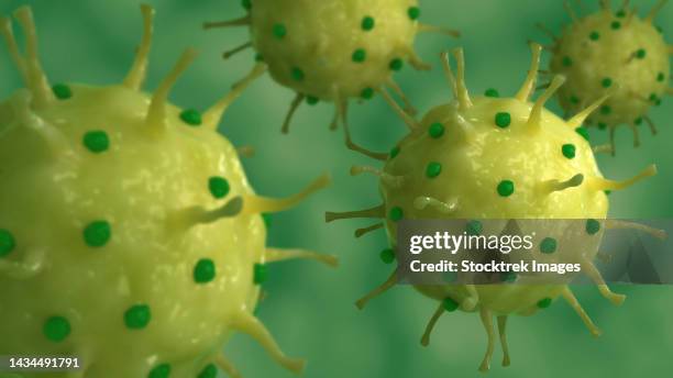 conceptual biomedical illustration of genital herpes, an infection by the herpes simplex virus - genital herpes stock illustrations