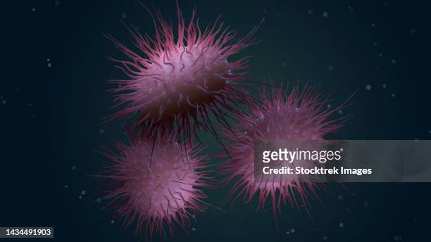 biomedical illustration of neisseria meningitidis, a bacterial meningitis - spike protein stock illustrations