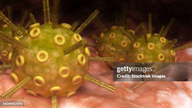 conceptual biomedical illustration of the herpes simplex virus on surface - genital herpes stock illustrations