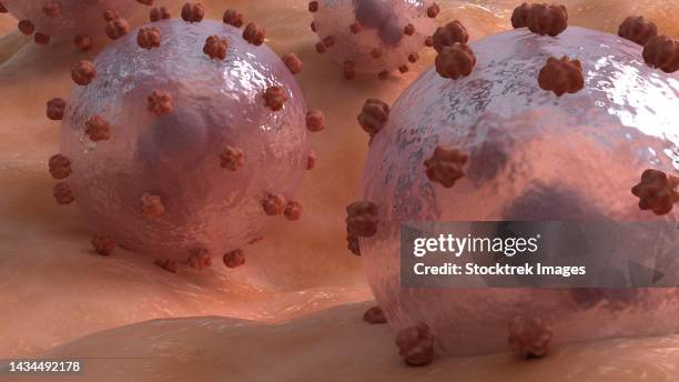 conceptual biomedical illustration of lassa virus on surface - ラッサ熱点のイラスト素材／クリップアート素材／マンガ素材／アイコン素材