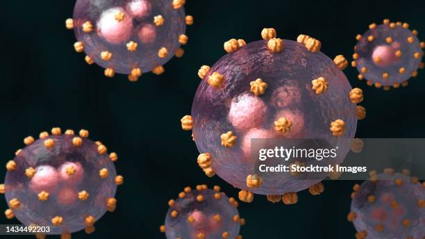 ilustraciones, imágenes clip art, dibujos animados e iconos de stock de conceptual biomedical illustration of lassa virus, on black background - membrana celular
