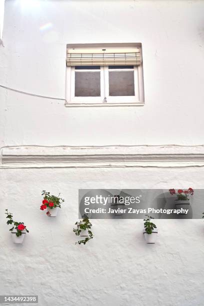 flower pots hanging on whitewashed wall - andalusia fotografías e imágenes de stock