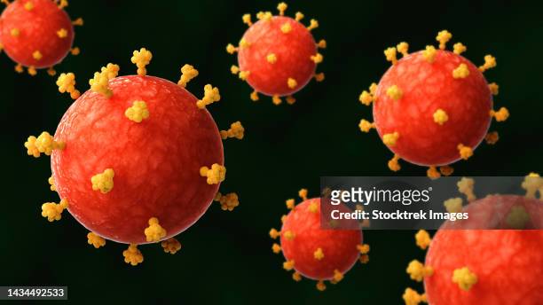 ilustrações, clipart, desenhos animados e ícones de conceptual biomedical illustration of the monkeypox virus - tuberosidade