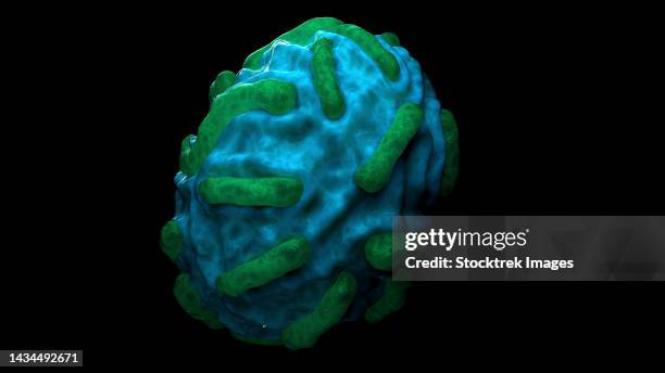 Orph Infection 13 Orf (Disease) Stock Photos, High-Res Pictures, and Images - Getty Images