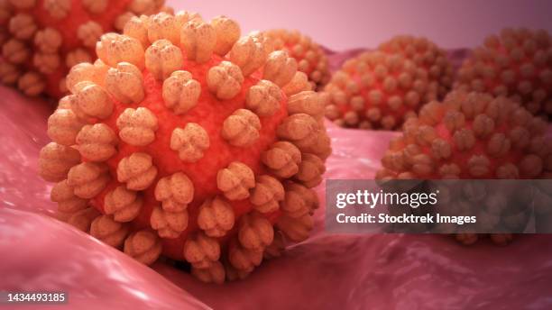 illustrations, cliparts, dessins animés et icônes de conceptual biomedical illustration of norovirus on surface - gastroentérite