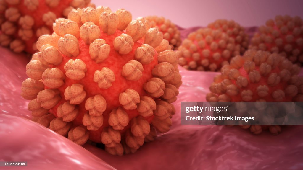 Conceptual biomedical illustration of norovirus on surface