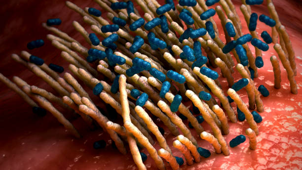 conceptual biomedical illustration of the bacterial disease pertussis, also known as whooping cough - whooping-cough stock illustrations