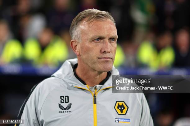 Steve Davis, Interim Manager of Wolverhampton Wanderers looks on prior to the Premier League match between Crystal Palace and Wolverhampton Wanderers...