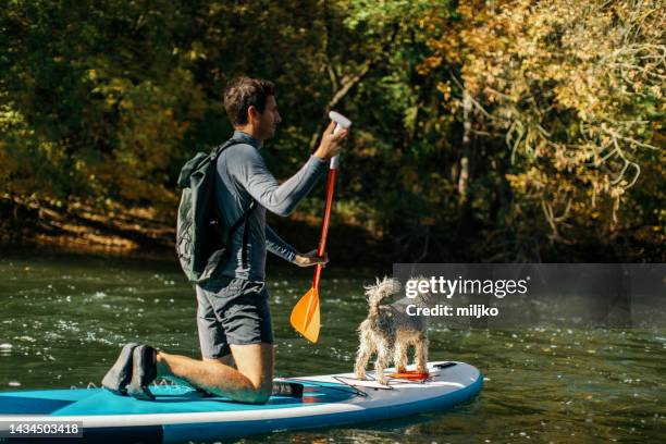 man exploring river with his dog on sup paddleboard - nis serbia stock pictures, royalty-free photos & images