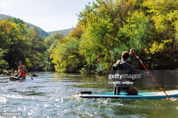 two men exploring river on sup paddleboard - nis serbia stock pictures, royalty-free photos & images