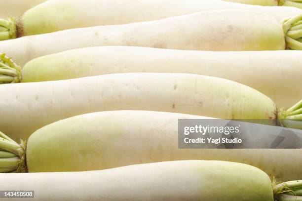 white radish - daikon stock pictures, royalty-free photos & images