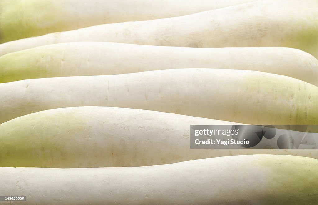 White radish