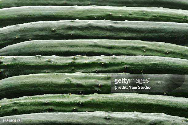 cucumber - gurke stock-fotos und bilder
