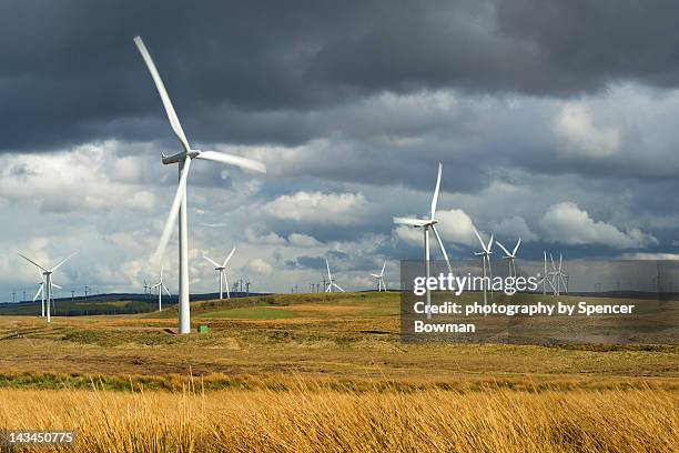windfarm array in field - scotland stock pictures, royalty-free photos & images