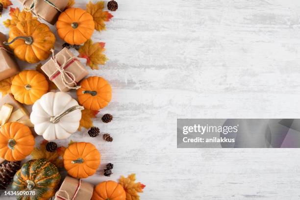 happy thanksgiving and autumn backgrounds - thanksgiving stock pictures, royalty-free photos & images