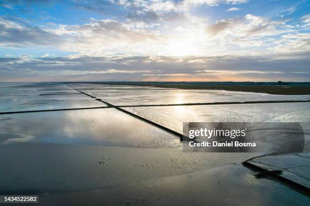 the salt marsh of the netherlands seen from a drone point of view - 生理食塩水 ストックフォトと画像