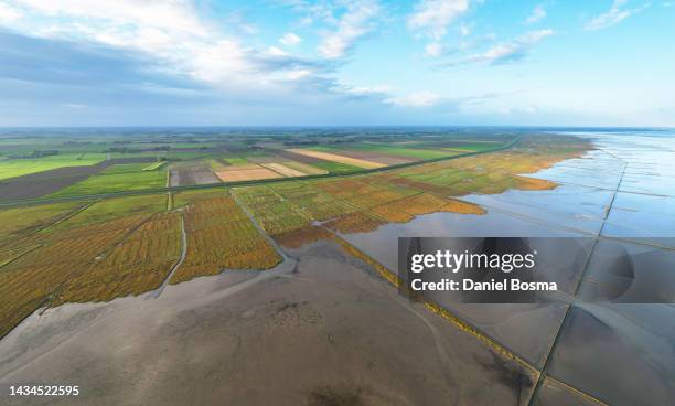 beautiful aerial view of the cultivated dutch coastline - noord holland stock pictures, royalty-free photos & images