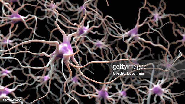 firing neurons - nervous tissue stock pictures, royalty-free photos & images