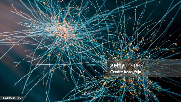neurons and microglia - scientific imaging technique stock pictures, royalty-free photos & images