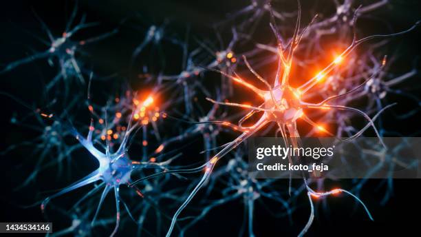 neuron system disease - alzheimers brain stockfoto's en -beelden