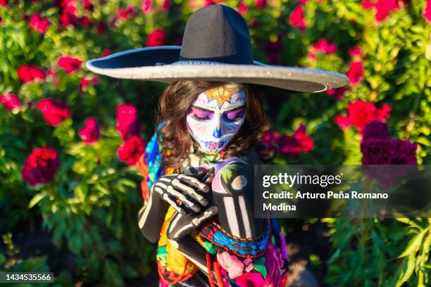 portrait of catrina crouching - traditional festival imagens e fotografias de stock