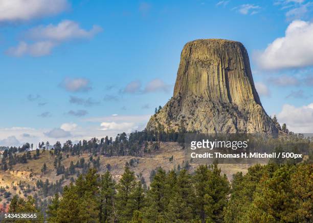 scenic view of tree against sky,devils tower,wyoming,united states,usa - devils tower stock pictures, royalty-free photos & images