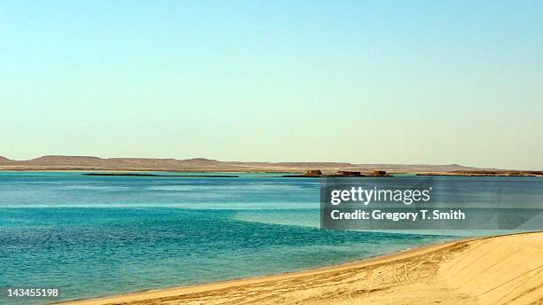 qatars inland sea - saudi arabia beach stock pictures, royalty-free photos & images