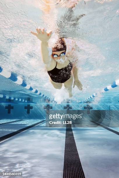 training to be a pro swimmer - swimming free style pool stock pictures, royalty-free photos & images