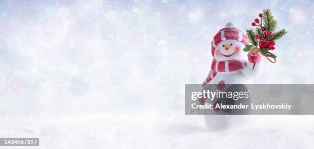 süßer glücklicher schneemann mit einem tannenzweig, der mit beeren geschmückt ist. weihnachtspanorama-hintergrund. - funny snow stock-fotos und bilder