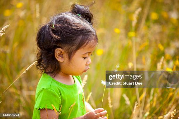 girl blowing dandelion seeds - dandelion blowing stock pictures, royalty-free photos & images