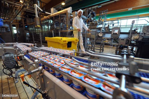 An employee monitors a production line at the Yoplait and Candia dairy production plant on May 13, 2008 in Vienne, central France. AFP PHOTO/ ERIC...