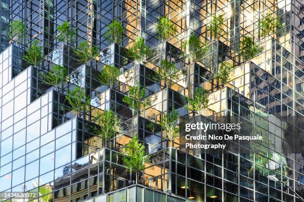 trees installation on a skyscraper of new york city, usa - green glass business stock-fotos und bilder