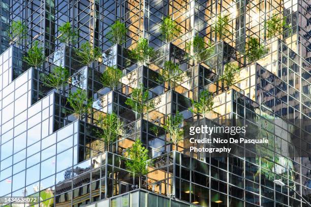 trees installation on a skyscraper of new york city, usa - インスタレーション ストックフォトと画像