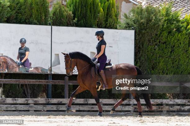 young woman, jockey rides a beautiful thoroughbred horse. - zadel stockfoto's en -beelden