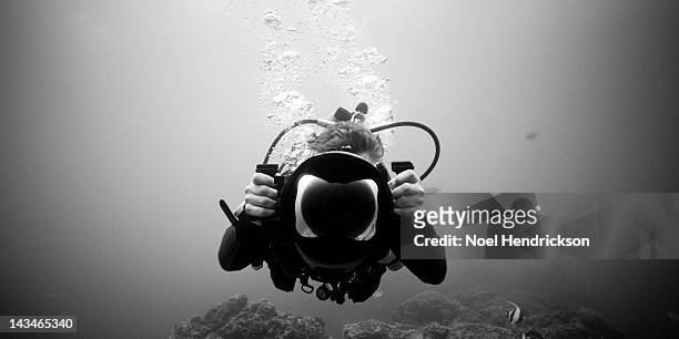 a scuba diver shoots with an underwater camera - underwater camera stock pictures, royalty-free photos & images