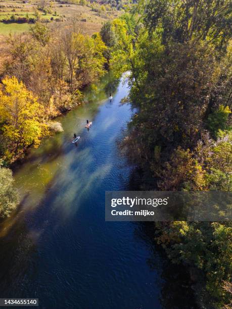 three men exploring river on sup paddleboard - nis serbia stock pictures, royalty-free photos & images