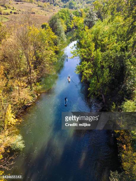 three men exploring river on sup paddleboard - nis serbia stock pictures, royalty-free photos & images