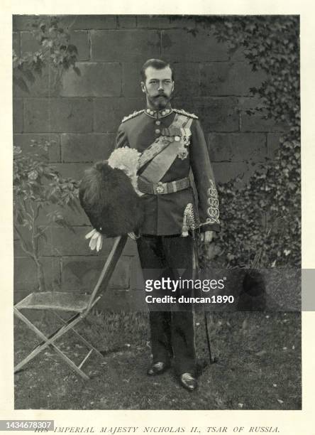 nikolaus ii., zar von russland in uniform der britischen royal scots greys, viktorianisches 19. jahrhundert - british military stock-grafiken, -clipart, -cartoons und -symbole