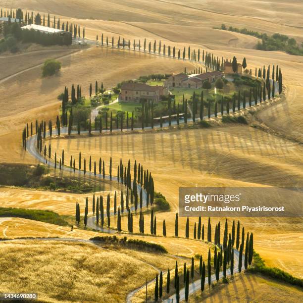 beautiful famous location landscape sunset curve of tree and agricultural farm field after harvest in tuscany, val d'orcia, firenze, italy ,landscape has been depicted in works of art from renaissance painting to modern photography. - siena italy stockfoto's en -beelden